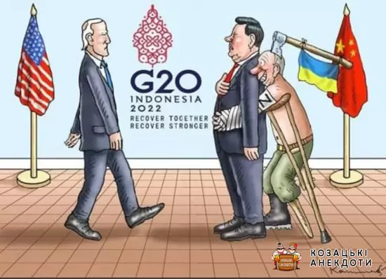 Карикатура на G20 - 2022 року