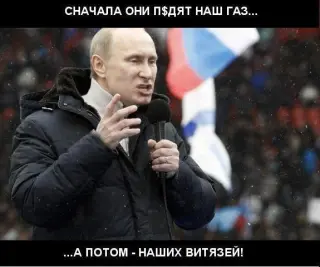 Путін після бою Повєткіна з Кличком