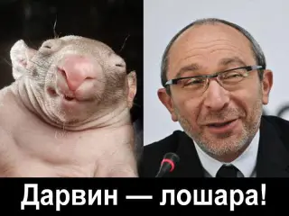 Кернес і Дарвін