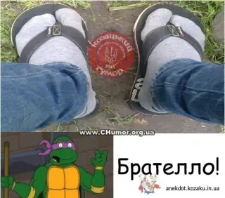 Братело черепашки-ніндзя
