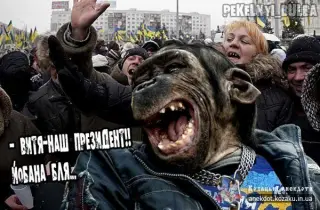 Люмпен Партії Регіонів