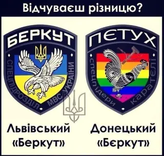 Різниця між беркутами