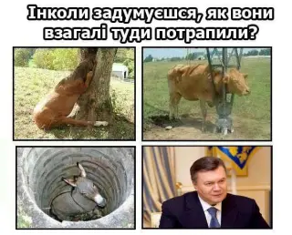 І як вони туди попадають?