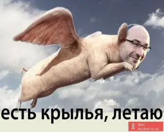 Літаючий кнур