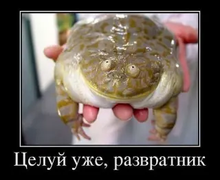 Жаба-царівна!