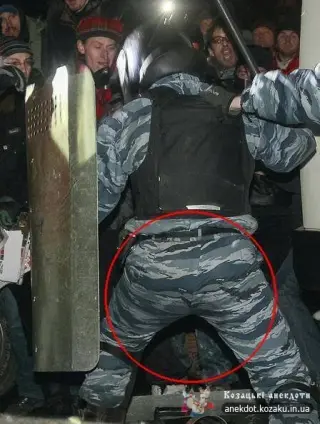 Беркут підмочив репутацію!