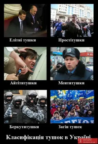 Класифікація тітушок