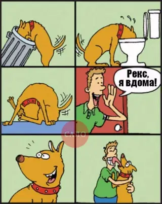 Собача відданість!