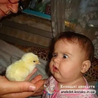 А-а! Це що за звір?