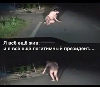 Янукович знайшовся