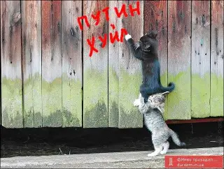 Пуцькін Куйло!