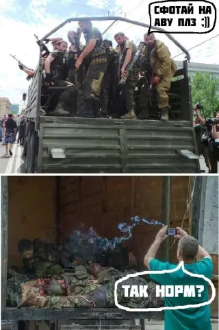 Як потрібно фоткати петухів!
