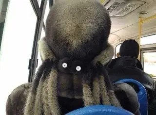 Павук в автобусі