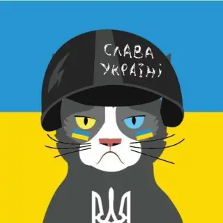 Український військовий кіт