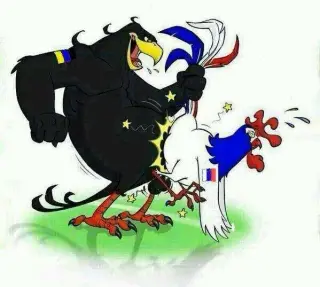 Що потрібно робити з петухами?