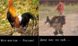 Історія ДНР в одній картинці