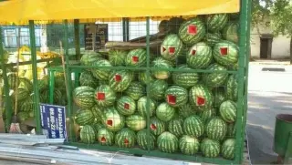 Голодні москалі