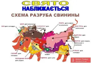 Схема поділу свинини