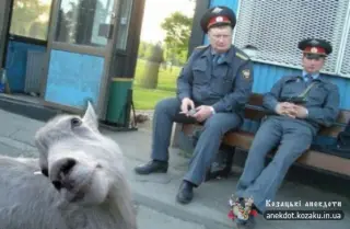 Фотоприколи з ментами. Збірка