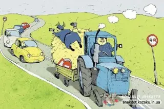 На сіні