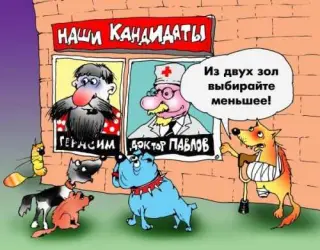 Кого вибрати?