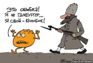 Колобка попутали