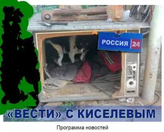 ТВ Россия 24