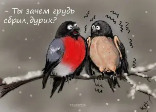 Жертва пропаганди
