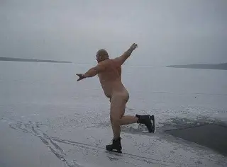 Білий лебідь на льоду