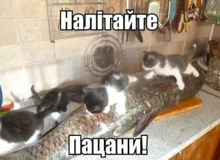 Карикатура на підвищення зарплати