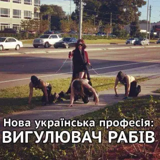 Винен водій трамваю!