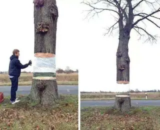 Висячі сади