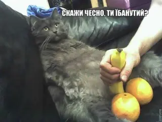 Реформи по українськи