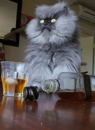 Супер шашлик