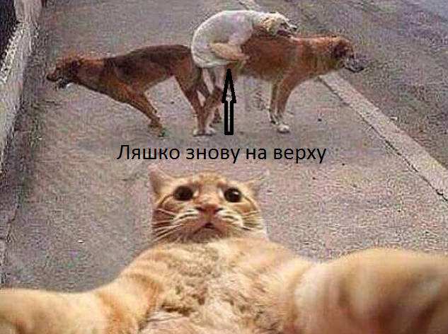 Жінки витрачають гроші з розумом!