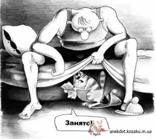 Зайнято