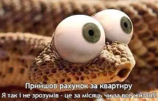 Побачив рахунок за квартиру!
