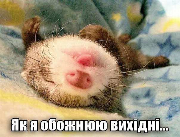 Про чудернацького хлопчика
