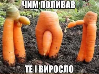Чим підляв те і виросло!
