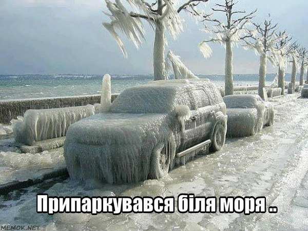 Як плачуть дерева.