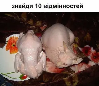 Україна зустрічає москалів