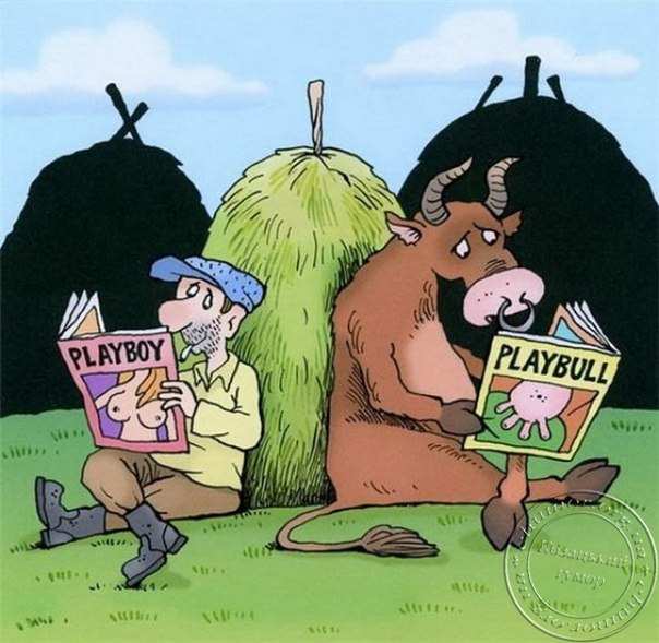 Мухи долітались