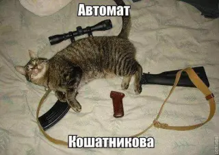 Пост здав - пост прийняв