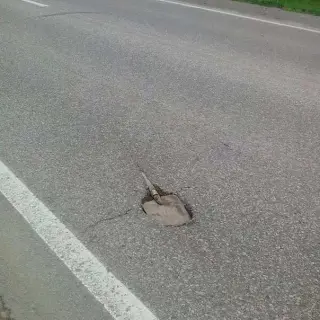 Боги автодору!