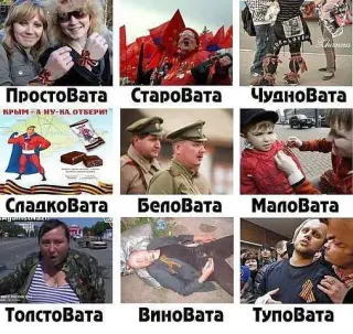 Види вати