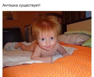 Справжній Антошка