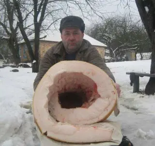 Сало наніч шкодить