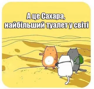 Сахара для котів
