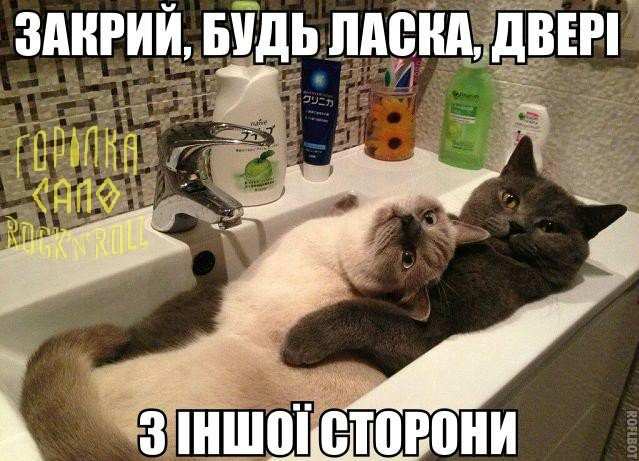 Прогрес