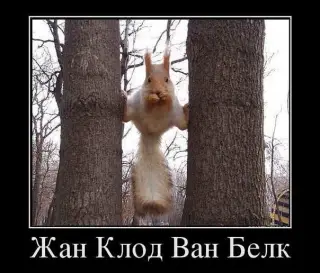 Гірка з трампліном